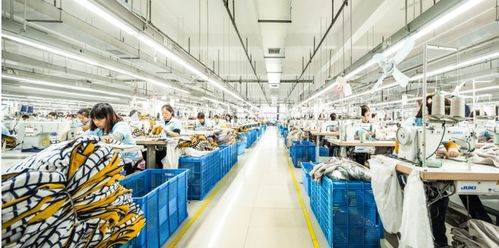 從煙火氣 忙碌勁兒看更好統籌丨敏銳應變搶先機 外貿企業蘇美達捕捉商機記