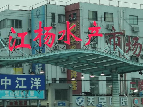 中國國際水產(chǎn)博覽會(huì)走進(jìn)上海 江楊水產(chǎn)市場